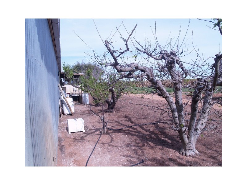 Lot 7 Cameron Street, Sunlands SA 5322