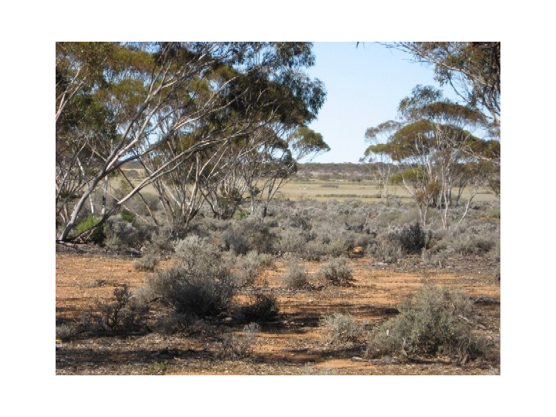 Sect 268 Hundred of Eba, Morgan SA 5320