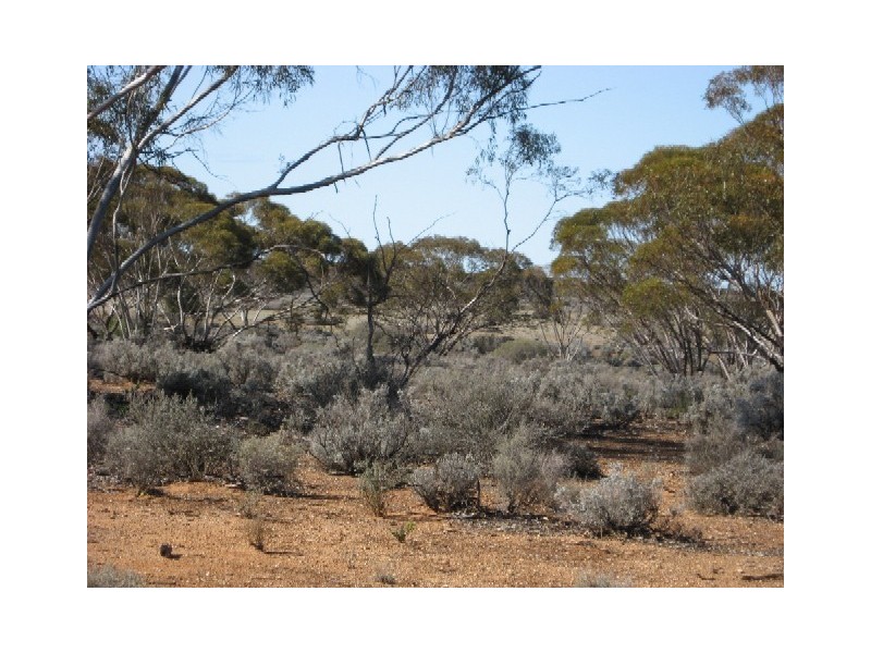 Sect 268 Hundred of Eba, Morgan SA 5320