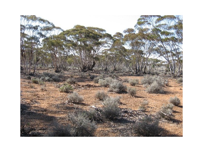 Sect 268 Hundred of Eba, Morgan SA 5320