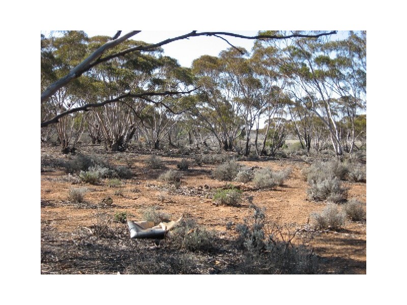 Sect 268 Hundred of Eba, Morgan SA 5320