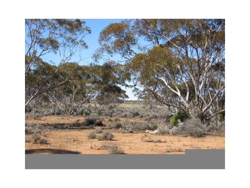 Sect 268 Hundred of Eba, Morgan SA 5320