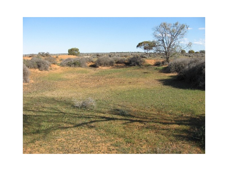 Sect 268 Hundred of Eba, Morgan SA 5320