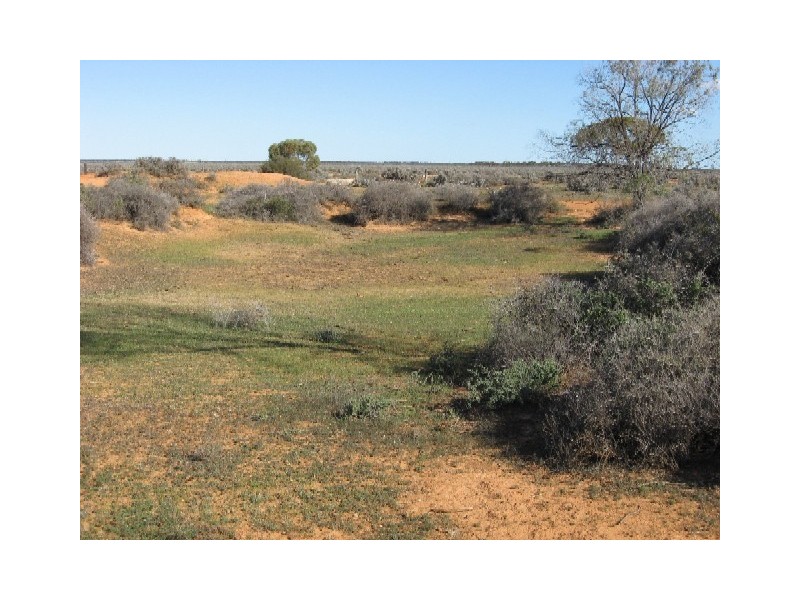 Sect 268 Hundred of Eba, Morgan SA 5320