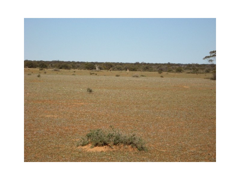 Sect 268 Hundred of Eba, Morgan SA 5320