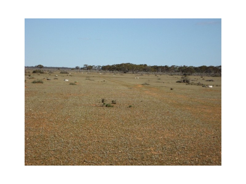 Sect 268 Hundred of Eba, Morgan SA 5320