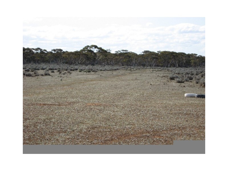 Sect 268 Hundred of Eba, Morgan SA 5320