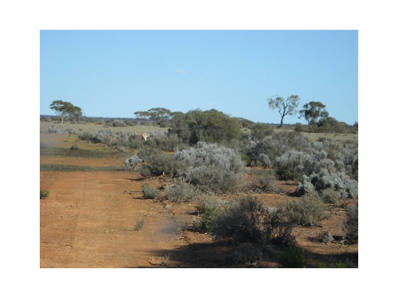 Sect 268 Hundred of Eba, Morgan SA 5320