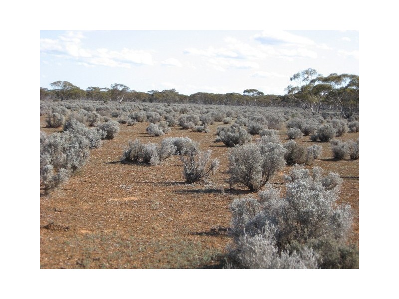 Sect 268 Hundred of Eba, Morgan SA 5320