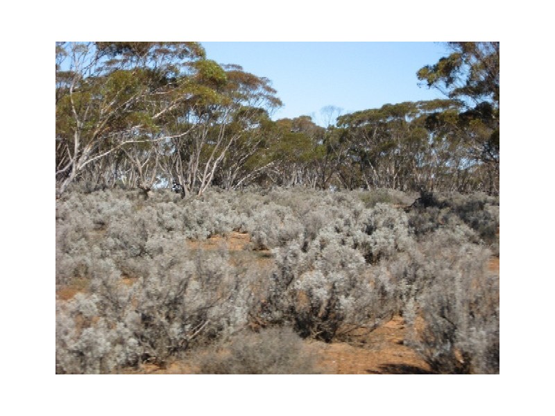 Sect 268 Hundred of Eba, Morgan SA 5320