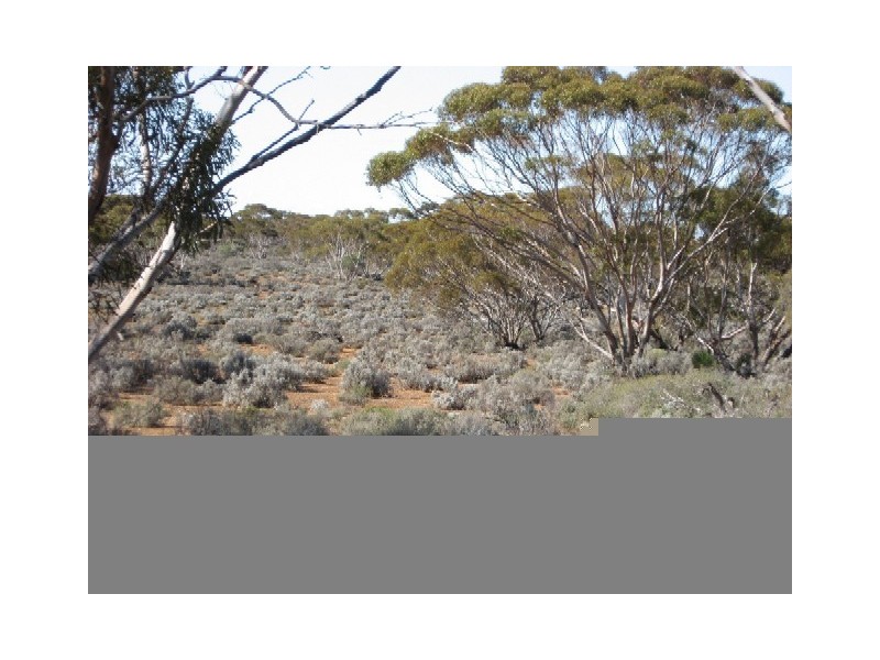 Sect 268 Hundred of Eba, Morgan SA 5320