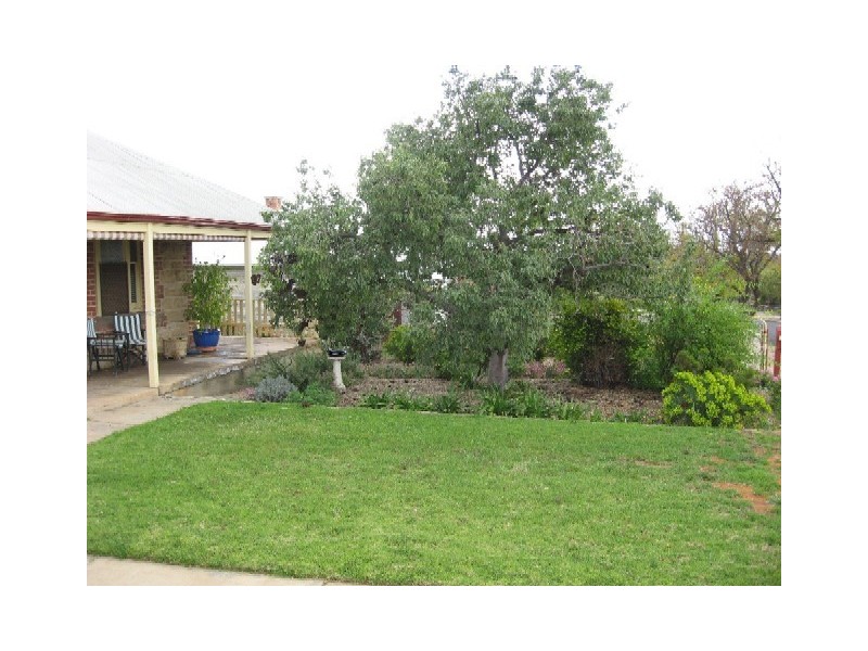 1 Henderson Street, Waikerie SA 5330