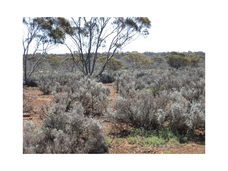 Sect 417 Thiele Highway Hundred of Eba, Morgan SA 5320