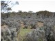 Sect 417 Thiele Highway Hundred of Eba, Morgan SA 5320