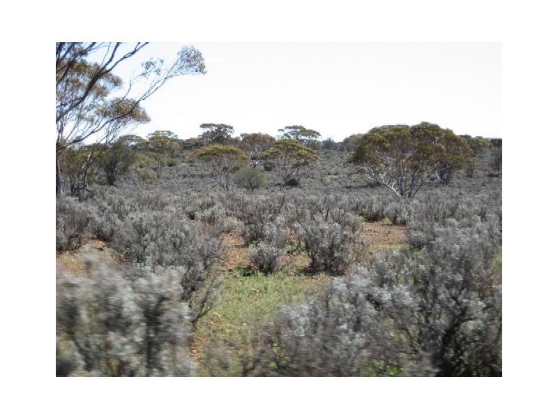 Sect 417 Thiele Highway Hundred of Eba, Morgan SA 5320