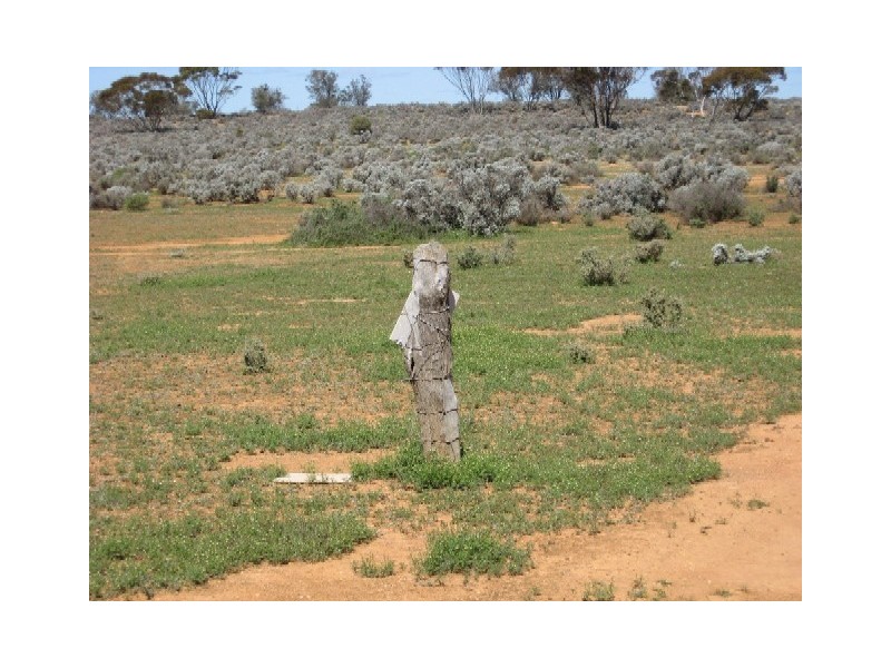Sect 417 Thiele Highway Hundred of Eba, Morgan SA 5320