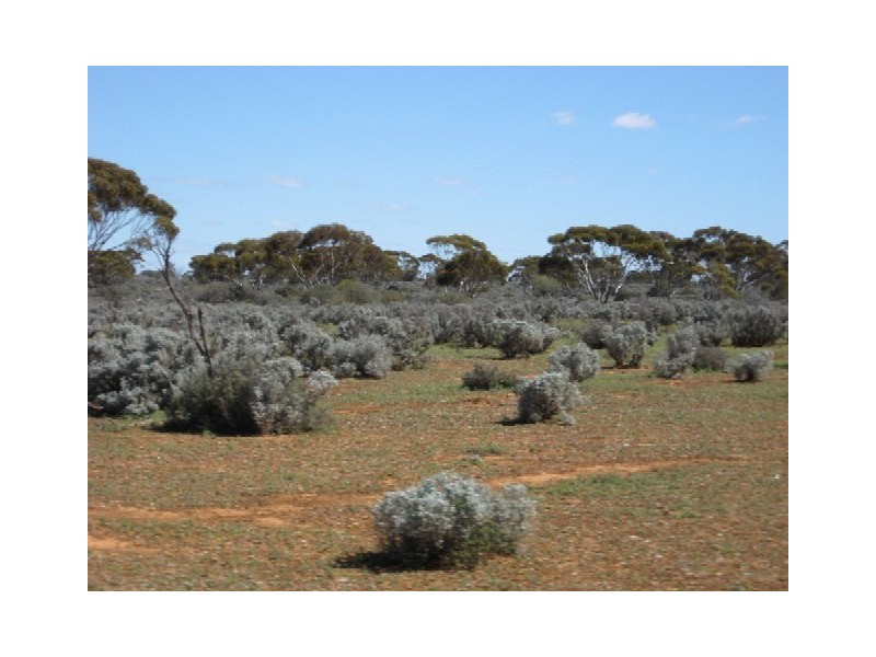 Sect 417 Thiele Highway Hundred of Eba, Morgan SA 5320