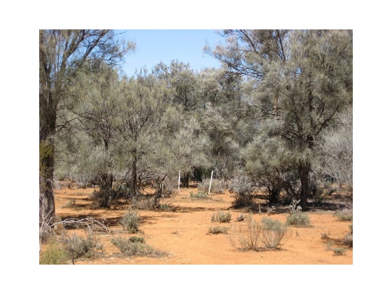 Sect 417 Thiele Highway Hundred of Eba, Morgan SA 5320
