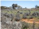 Sect 417 Thiele Highway Hundred of Eba, Morgan SA 5320