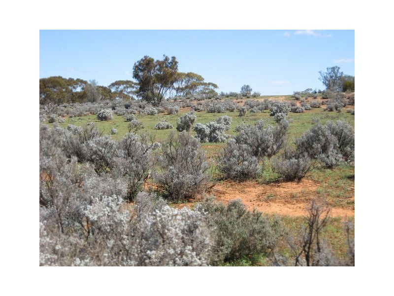 Sect 417 Thiele Highway Hundred of Eba, Morgan SA 5320