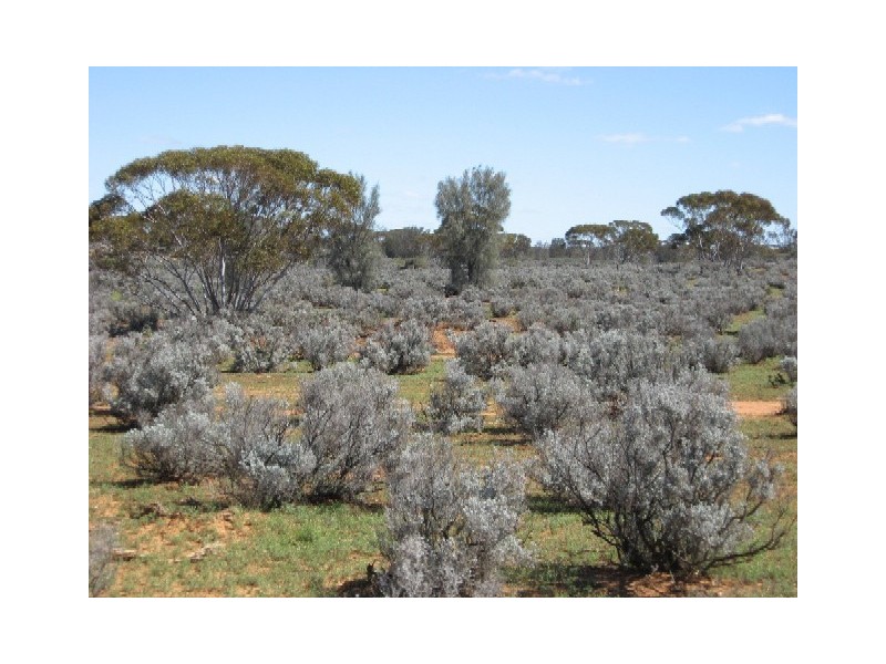 Sect 417 Thiele Highway Hundred of Eba, Morgan SA 5320