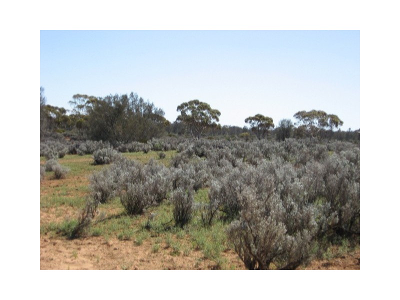 Sect 417 Thiele Highway Hundred of Eba, Morgan SA 5320