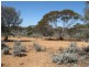 Sect 417 Thiele Highway Hundred of Eba, Morgan SA 5320