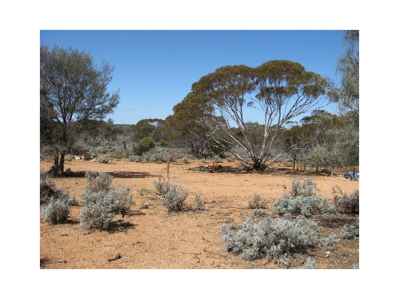 Sect 417 Thiele Highway Hundred of Eba, Morgan SA 5320