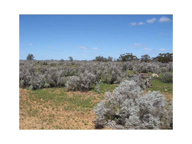 Sect 417 Thiele Highway Hundred of Eba, Morgan SA 5320