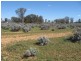 Sect 417 Thiele Highway Hundred of Eba, Morgan SA 5320