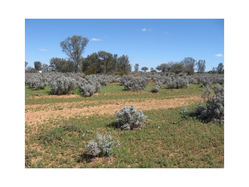 Sect 417 Thiele Highway Hundred of Eba, Morgan SA 5320
