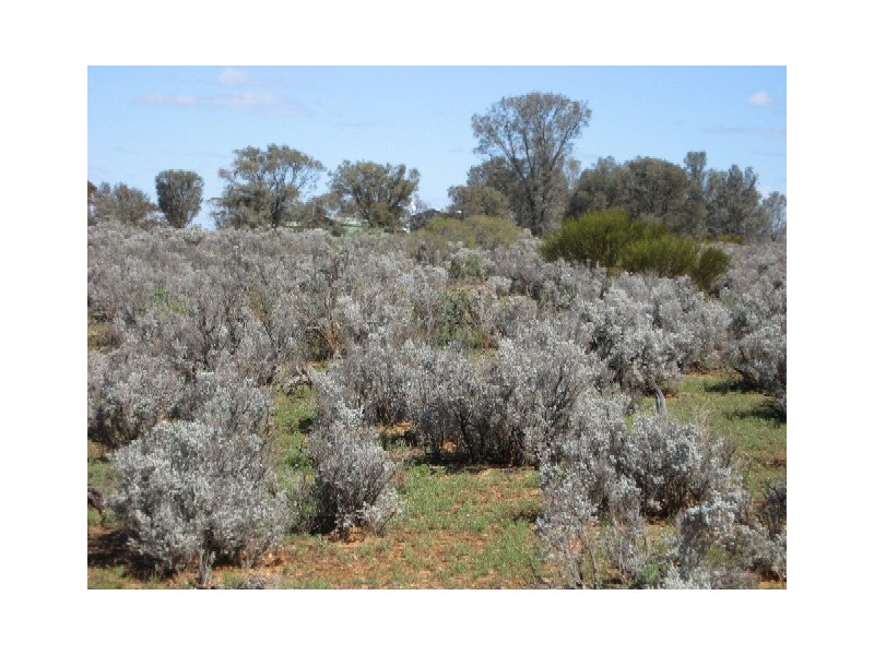 Sect 417 Thiele Highway Hundred of Eba, Morgan SA 5320