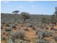 Sect 417 Thiele Highway Hundred of Eba, Morgan SA 5320