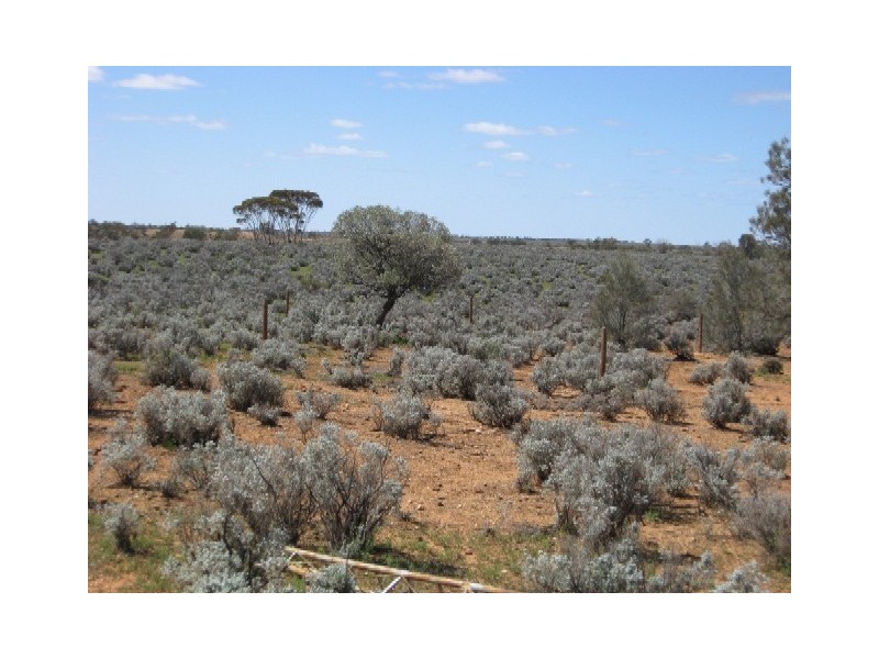 Sect 417 Thiele Highway Hundred of Eba, Morgan SA 5320