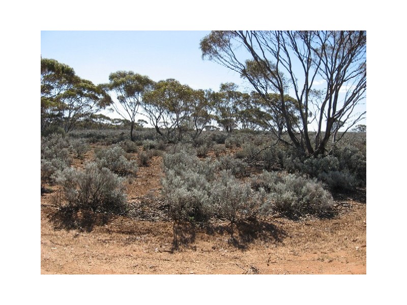 Sect 417 Thiele Highway Hundred of Eba, Morgan SA 5320
