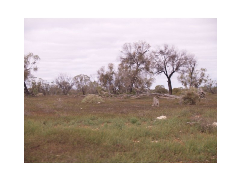 Sect 199 Hundred of Eba, Morgan SA 5320