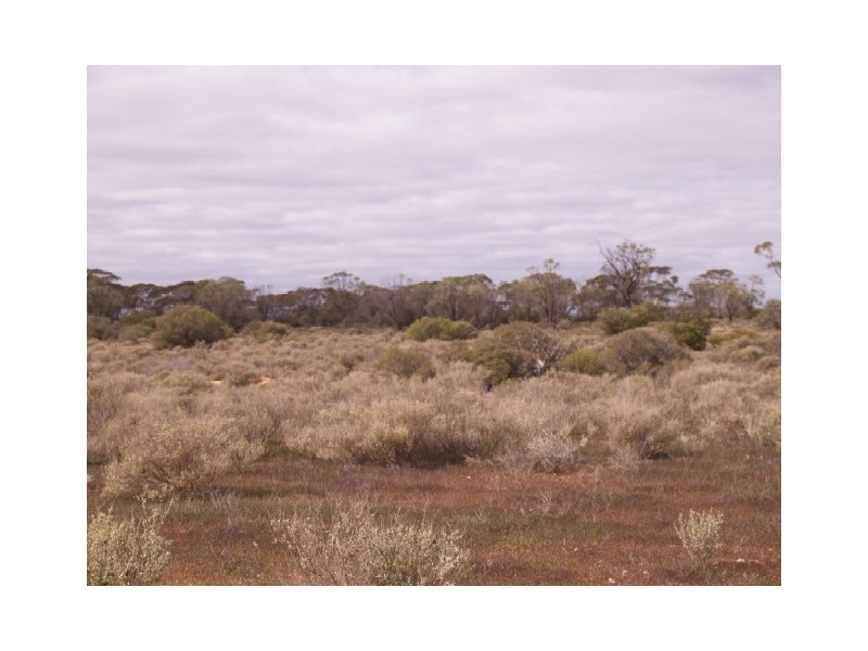 Sect 199 Hundred of Eba, Morgan SA 5320