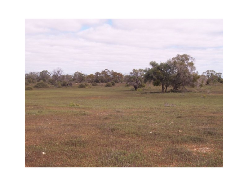 Sect 199 Hundred of Eba, Morgan SA 5320