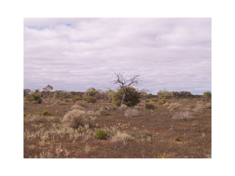 Sect 199 Hundred of Eba, Morgan SA 5320