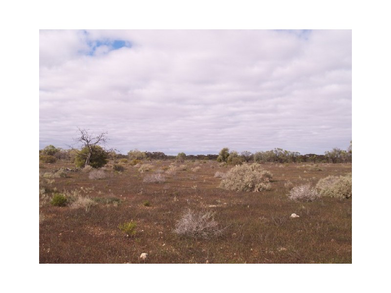 Sect 199 Hundred of Eba, Morgan SA 5320