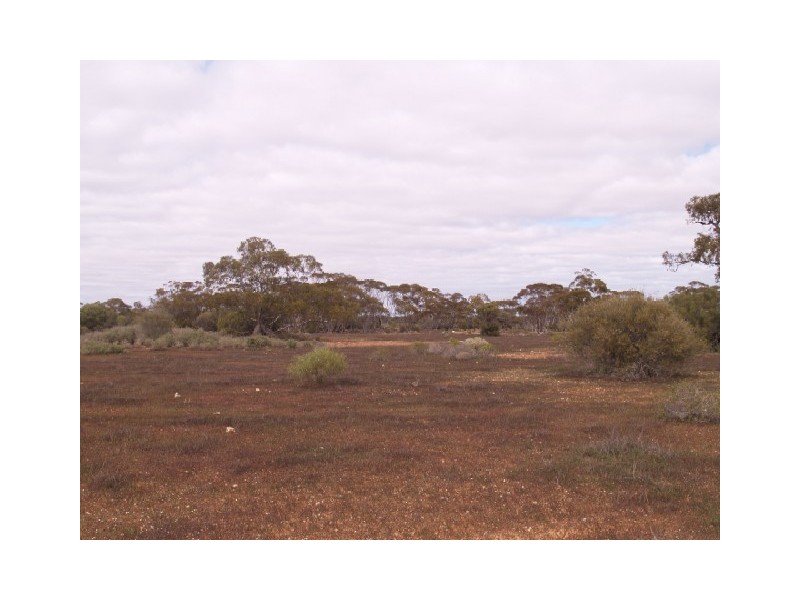 Sect 199 Hundred of Eba, Morgan SA 5320