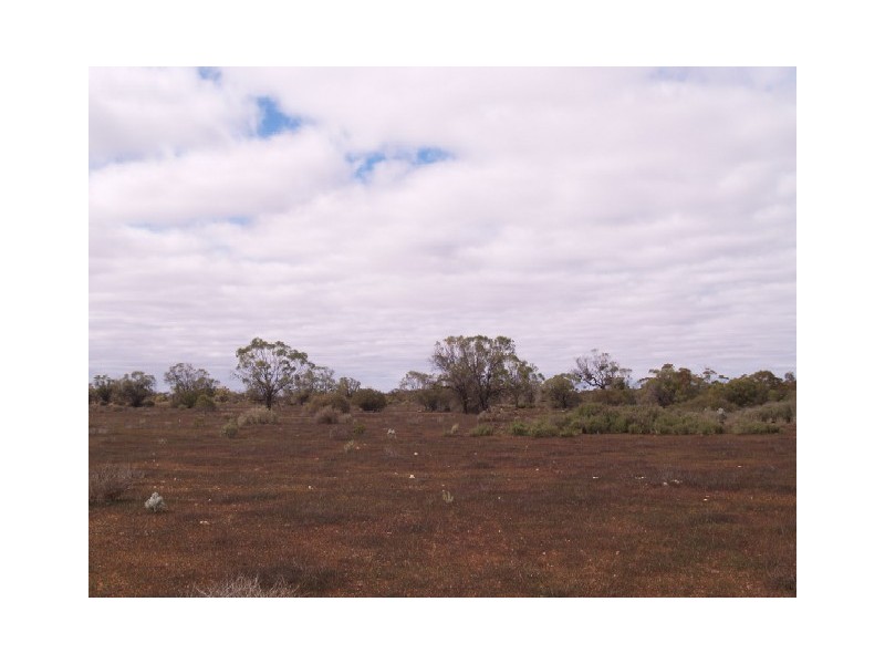 Sect 199 Hundred of Eba, Morgan SA 5320