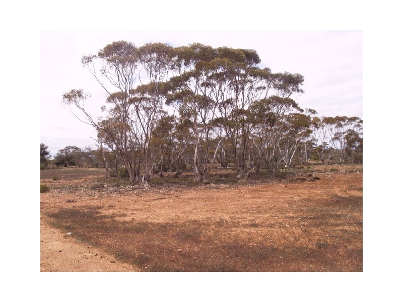 Sect 199 Hundred of Eba, Morgan SA 5320