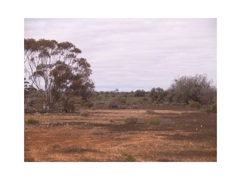 Sect 199 Hundred of Eba, Morgan SA 5320