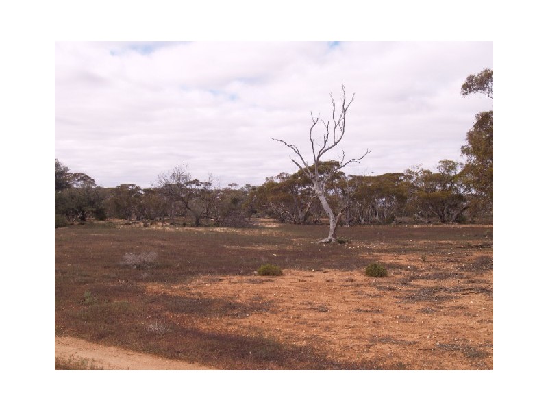 Sect 199 Hundred of Eba, Morgan SA 5320