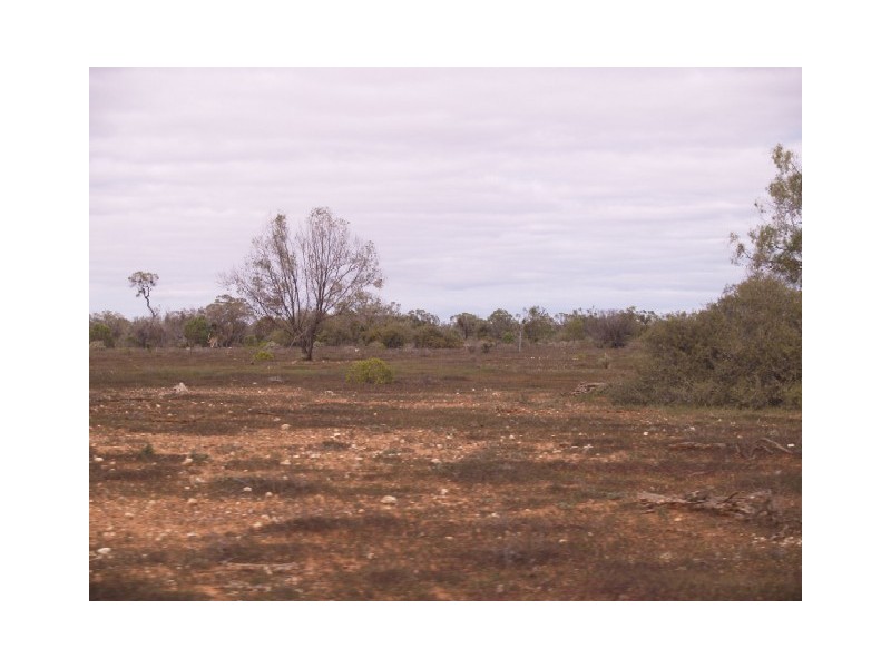 Sect 199 Hundred of Eba, Morgan SA 5320