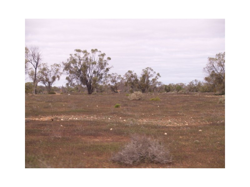 Sect 199 Hundred of Eba, Morgan SA 5320