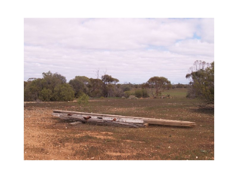 Sect 199 Hundred of Eba, Morgan SA 5320