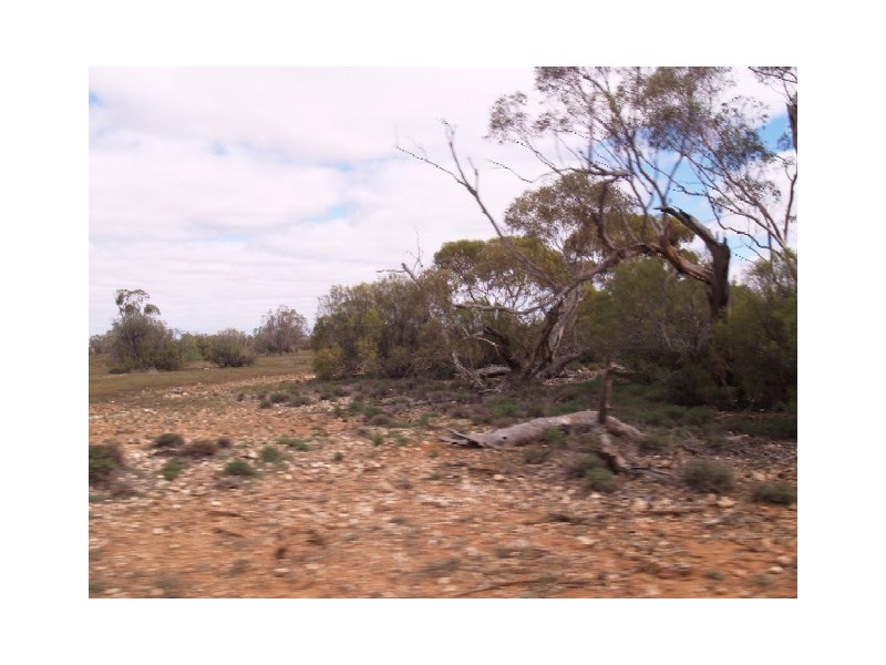 Sect 199 Hundred of Eba, Morgan SA 5320