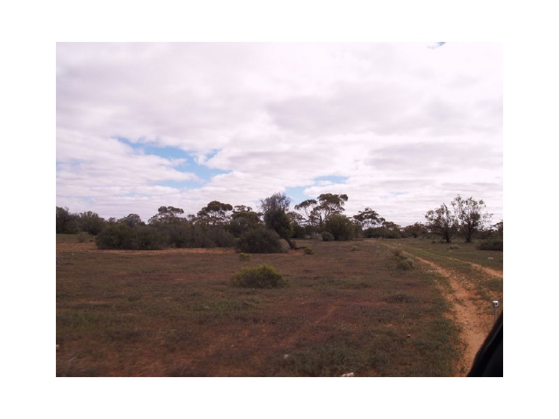 Sect 199 Hundred of Eba, Morgan SA 5320